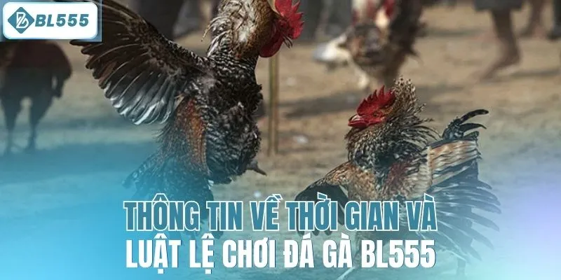 Đá Gà Cựa Sắt - Tận Hưởng Sân Chơi Kịch Tính Tại BL555 - mitx.mom