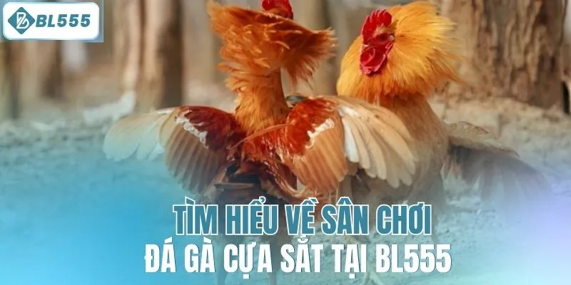 Đá Gà Cựa Sắt - Tận Hưởng Sân Chơi Kịch Tính Tại BL555 - mitx.mom