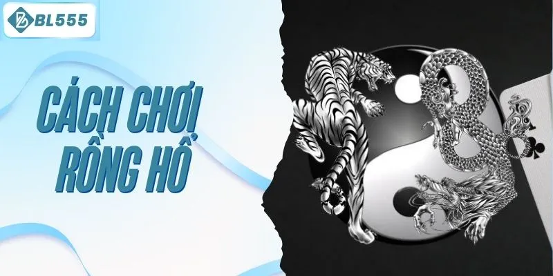 Tin Tức BL555 Cập Nhật Tin Tức, Khuyến Mãi & Sự Kiện 2026 - mitx.mom