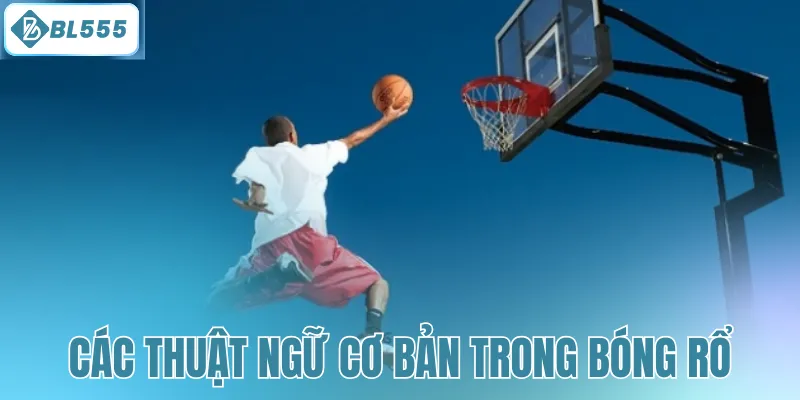 Cá Cược Bóng Rổ - Hé Lộ Kinh Nghiệm Cược Đâu Thắng Đó - mitx.mom