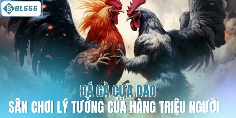 Đá Gà Cựa Dao BL555 - Trải Nghiệm Cùng Gà Chiến Dũng Mãnh - mitx.mom