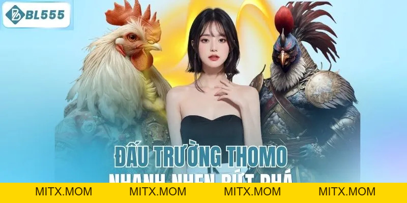 Đá Gà BL555 – Trận Đấu Đá Gà Kịch Tính, Cá Cược An Toàn - mitx.mom
