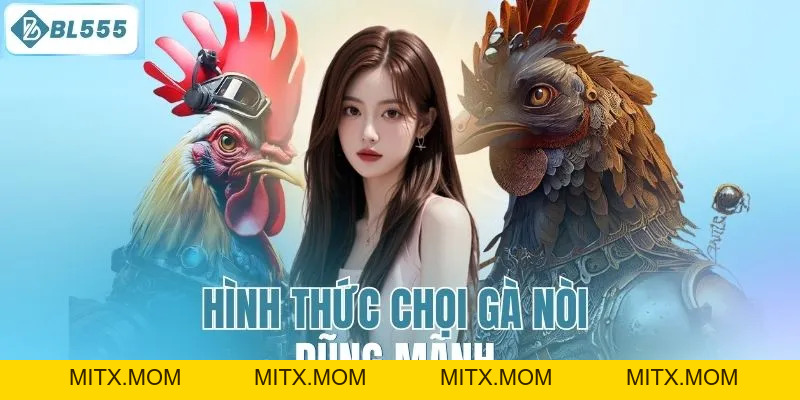 Đá Gà BL555 – Trận Đấu Đá Gà Kịch Tính, Cá Cược An Toàn - mitx.mom