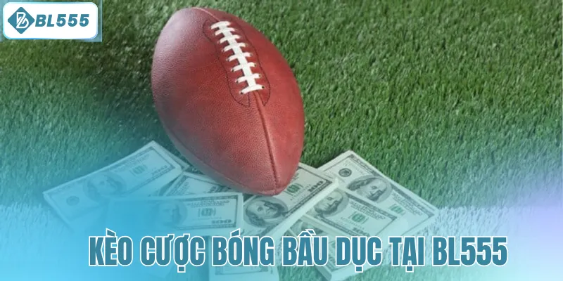 Cá Cược Bóng Bầu Dục - Trải Nghiệm Game Kịch Tính Tại BL555 - mitx.mom