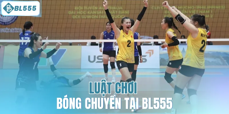 Cá Cược Bóng Chuyền – Sân Chơi Kịch Tính Cho Tín Đồ Thể Thao - mitx.mom