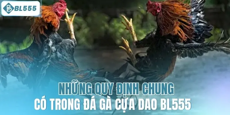 Đá Gà Cựa Dao BL555 - Trải Nghiệm Cùng Gà Chiến Dũng Mãnh - mitx.mom