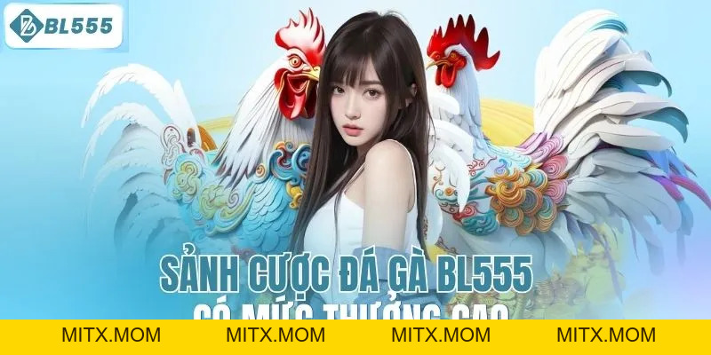 Đá Gà BL555 – Trận Đấu Đá Gà Kịch Tính, Cá Cược An Toàn - mitx.mom
