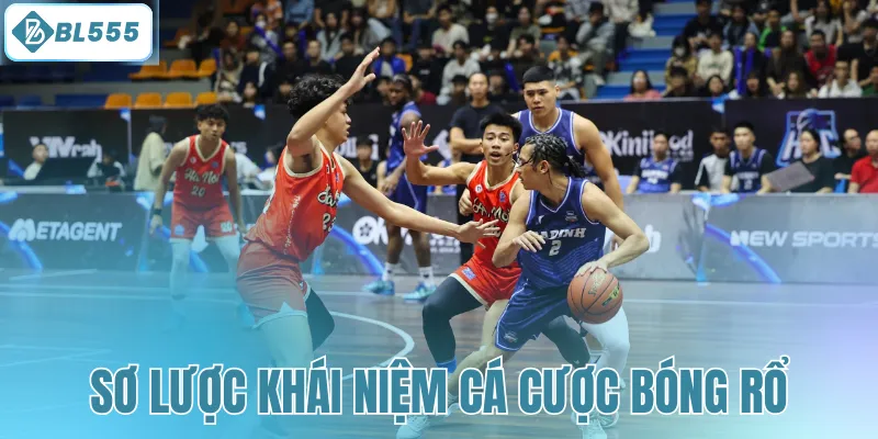 Cá Cược Bóng Rổ - Hé Lộ Kinh Nghiệm Cược Đâu Thắng Đó - mitx.mom