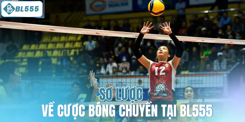 Cá Cược Bóng Chuyền – Sân Chơi Kịch Tính Cho Tín Đồ Thể Thao - mitx.mom