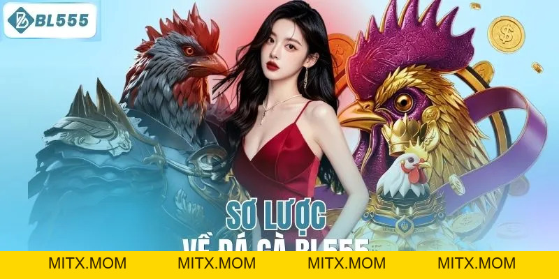 Đá Gà BL555 – Trận Đấu Đá Gà Kịch Tính, Cá Cược An Toàn - mitx.mom