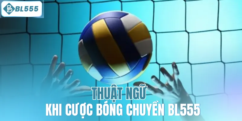 Cá Cược Bóng Chuyền – Sân Chơi Kịch Tính Cho Tín Đồ Thể Thao - mitx.mom